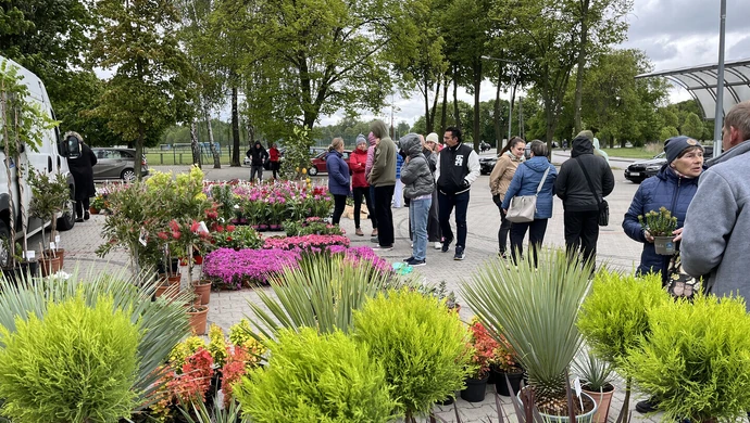 Sukces pierwszych ogrodniczych targów w Moszczenicy – miłośnicy zieleni dopisali
