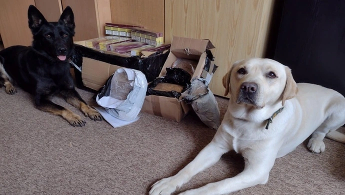 KAS wytropiła nielegalnie przesyłane pieniądze i wyroby akcyzowe