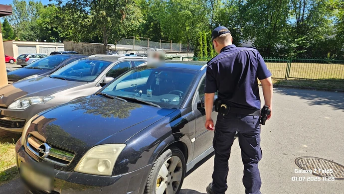 W upały nie pozostawiajmy nikogo w samochodzie. Także zwierząt