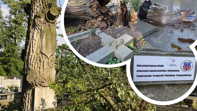 Drzewo znów przewaliło się na nagrobki. Duże zniszczenia na piotrkowskich cmentarzach