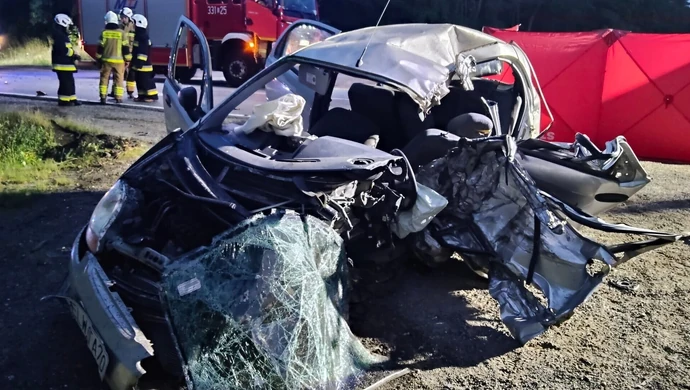 Tragedia na DK12 pod Piotrkowem. Nie żyje kierowca osobówki ZDJĘCIA