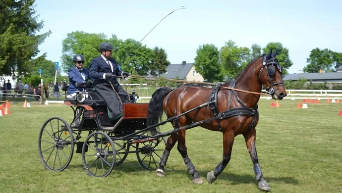 Mistrzostwa Polski w Powożeniu 2025 – Bogusławice w centrum uwagi