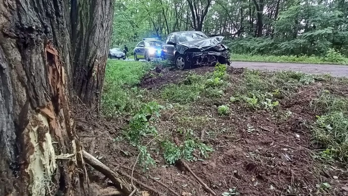 20-latka uderzyła w drzewo. Groźnie w Daniszewicach