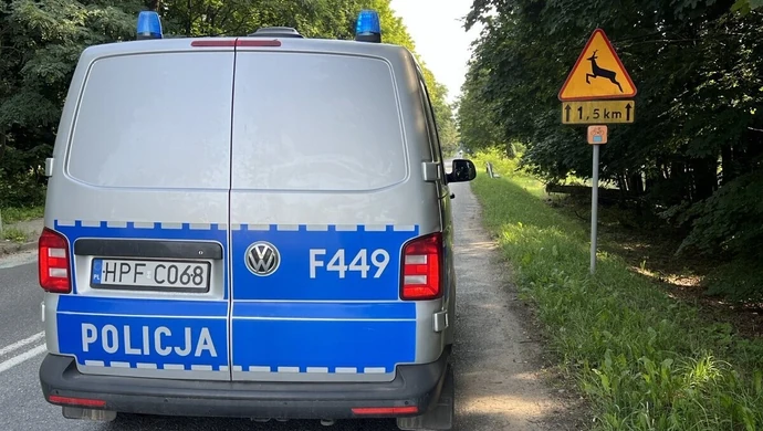 Dzikie zwierzęta na drogach. W ciągu jednej doby doszło do dwóch kolizji w powiecie piotrkowskim