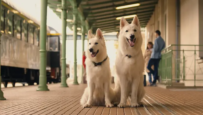 Pociąg do przygody, morderczy weekend i… zakręcony piątek - premiery miesiąca w Heliosie