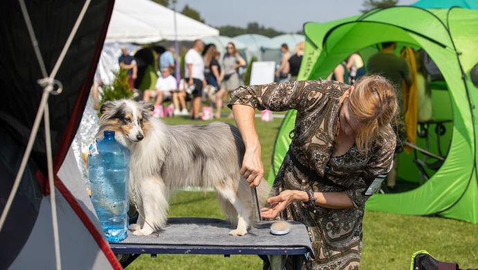 Piękne i wyjątkowe – psy z całego świata w Moszczenicy ZDJĘCIA