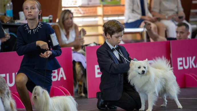 Kolejny dzień wystawy psich piękności w Moszczenicy. Są wyniki ZDJĘCIA