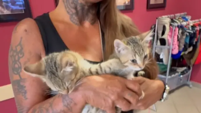 Pomógł kotom, pomogli i jemu. Podobno karma wraca