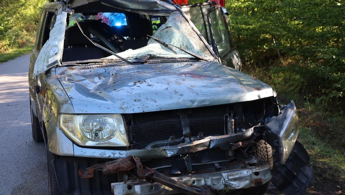 Zderzenie osobówki z jeleniem między Kołem a Lubiaszowem ZDJĘCIA