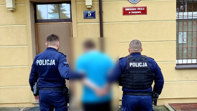 Nadpiliczny wandal zatrzymany przez policję