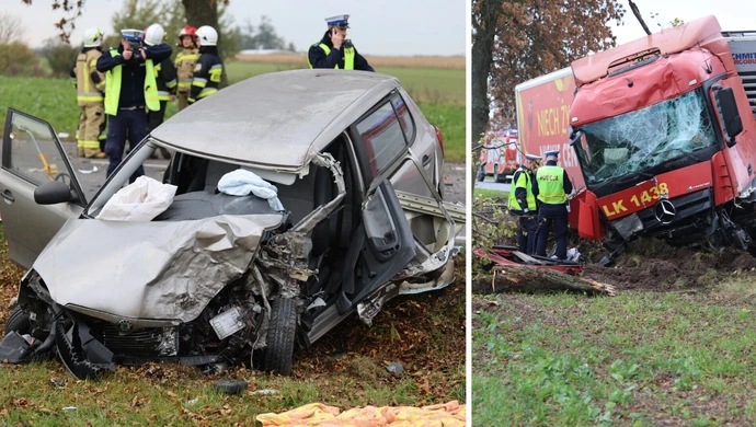Koszmarny wypadek pod Piotrkowem. Lądował śmigłowiec LPR. Drzewo wyrwane z korzeniami ZDJĘCIA