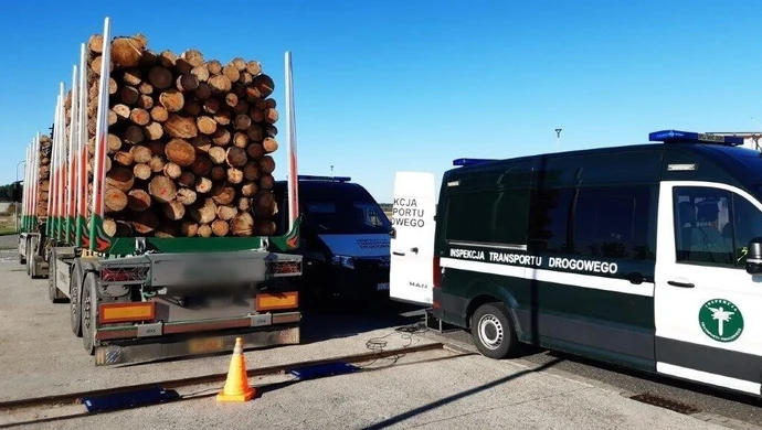 Rekordowe 71 ton drewna! WITD zatrzymało przeładowanego giganta w Piotrkowie ZDJĘCIA