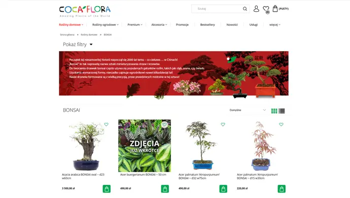 Bonsai w domu - jak rozpocząć swoją przygodę z miniaturowymi drzewkami?