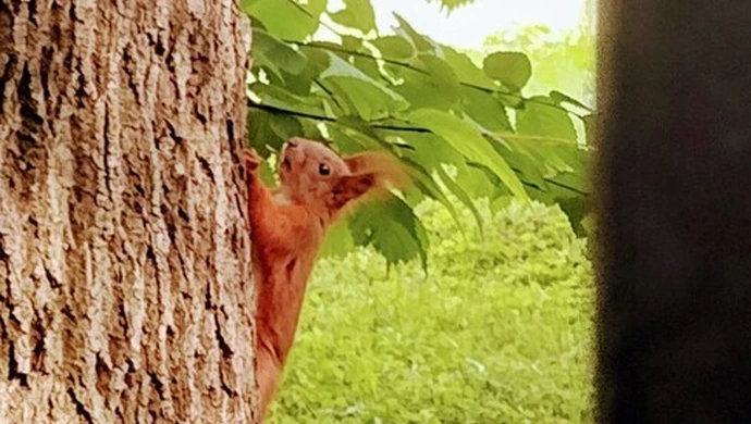 Gmina Moszczenica w obiektywie mieszkańców