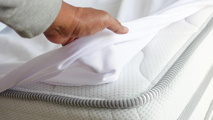 Na czym polega odpluskwianie?