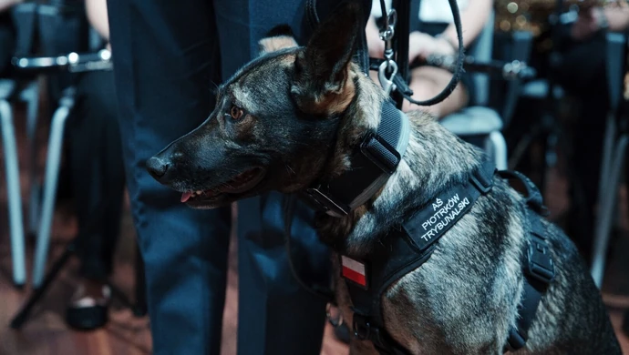 Bohaterowie naszej codzienności. Oto najlepsi funkcjonariusze w Łódzkiem