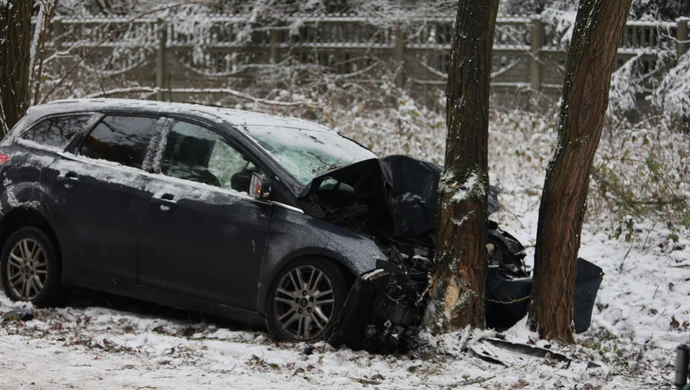 Ford uderzył w drzewo na Wierzejskiej. W samochodzie matka z czwórką dzieci ZDJĘCIA