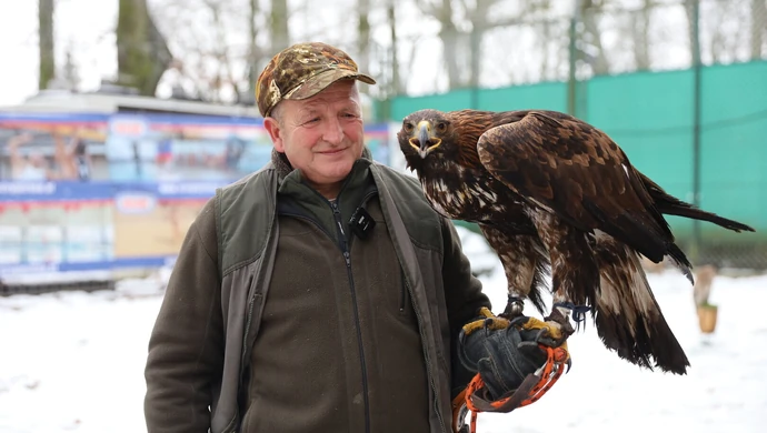 Sokolnik ze swoimi orłami kończy pracę w piotrkowskich parkach