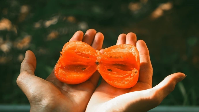 Nowoczesne spojrzenie na białko z natury