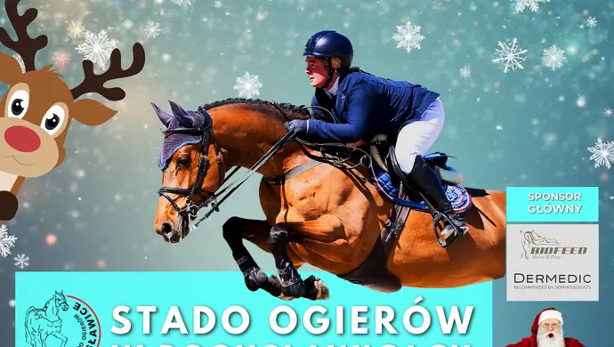 Sportowe emocje na najwyższym poziomie