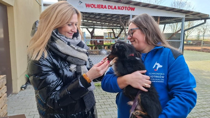 Wsparcie dla bezdomnych zwierząt z Sejmiku Województwa Łódzkiego