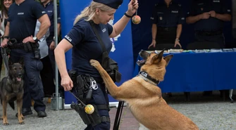 Startuje #SuperDzielnicowy 2025