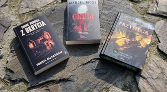 Książka na weekend – do czego zdolna może być pomoc domowa?