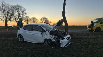 Dachowanie na DK91 w Milejowie. Jedna osoba w szpitalu 