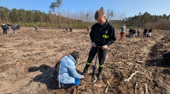 „Lasy na nowe 100-lecie” – wielka akcja sadzenia drzew w Goleszach Małych