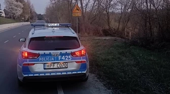 Policja apeluje - Kierowco, bądź ostrożny – dzikie zwierzęta na drodze