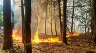 Kolejny pożar lasu. W akcji  ponownie  samolot gaśniczy 
