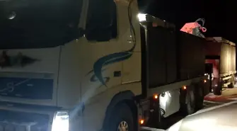 Przewóz trzody chlewnej za ciężki o 7 ton