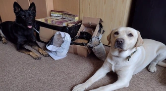 KAS wytropiła nielegalnie przesyłane pieniądze i wyroby akcyzowe