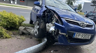 Ścięta latarnia na Sulejowskiej. Powodem pszczoła