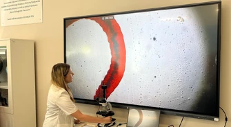 Nowa ekopracownia w ZSP nr 1 w Kamieńsku – inwestycja w przyszłość i ekologiczną świadomość młodzieży