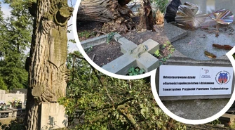 Drzewo znów przewaliło się na nagrobki. Duże zniszczenia na piotrkowskich cmentarzach