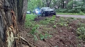 20-latka uderzyła w drzewo. Groźnie w Daniszewicach