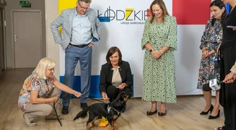 Samorządy łączą siły w walce z bezdomnością psów i kotów