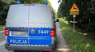 Dzikie zwierzęta na drogach. W ciągu jednej doby doszło do dwóch kolizji w powiecie piotrkowskim