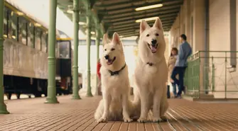 Pociąg do przygody, morderczy weekend i… zakręcony piątek - premiery miesiąca w Heliosie