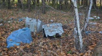 Zwierzęta nie śmiecą. Ludzie – tak! Ty nie widzisz, ale one czują. Dlaczego śmieci w lesie to nie tylko brzydki widok?