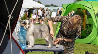 Piękne i wyjątkowe – psy z całego świata w Moszczenicy ZDJĘCIA