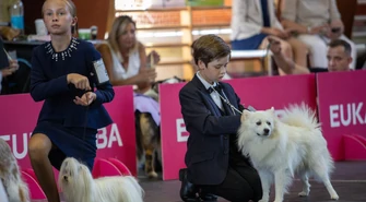 Kolejny dzień wystawy psich piękności w Moszczenicy. Są wyniki ZDJĘCIA