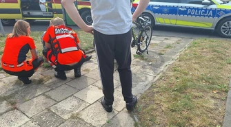 11-latek potrącony na pasach. Na Wolborskiej spadła gałąź, na Sikorskiego kolizja