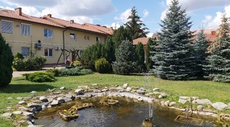 Powrót do dawnego, zdrowego życia