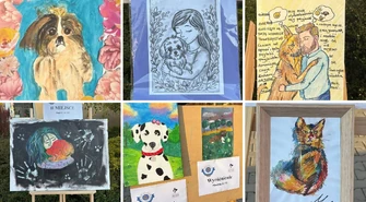 To te prace wygrały! Są wyniki konkursu ZDJĘCIA