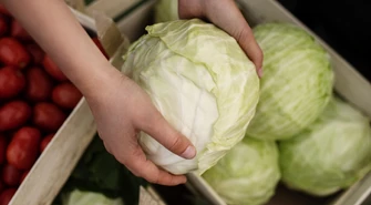 Zapraszamy na sąsiedzkie kiszenie kapusty 