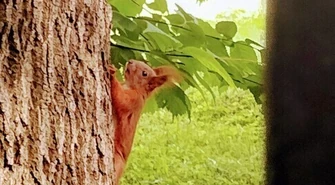 Gmina Moszczenica w obiektywie mieszkańców