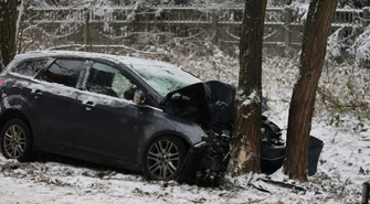 Ford uderzył w drzewo na Wierzejskiej. W samochodzie matka z czwórką dzieci ZDJĘCIA