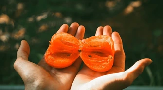 Nowoczesne spojrzenie na białko z natury